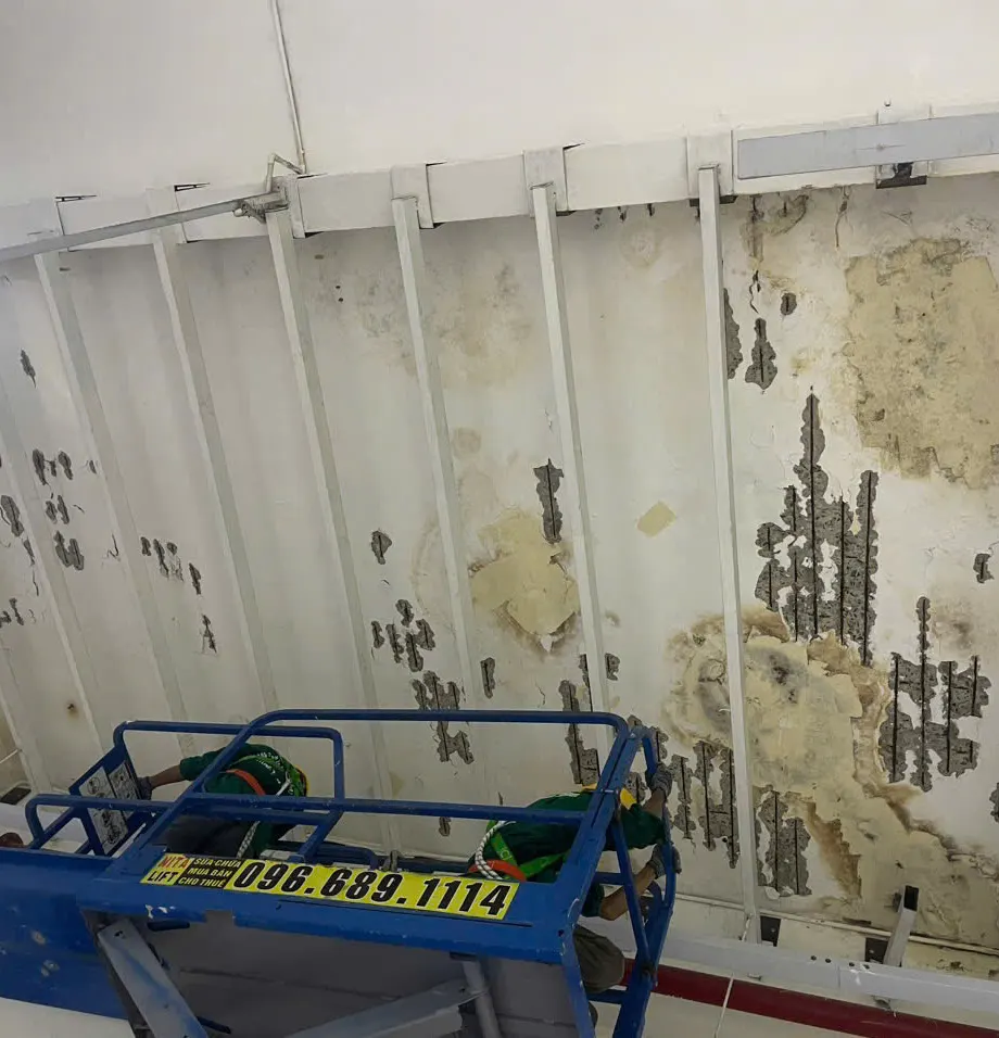 Factory ceiling repair — Ben Luc 10