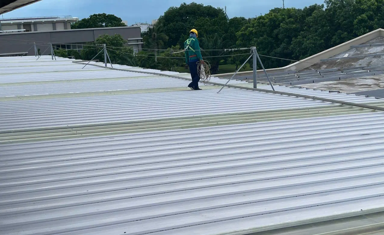Sample room re-roofing — Ben Luc 3