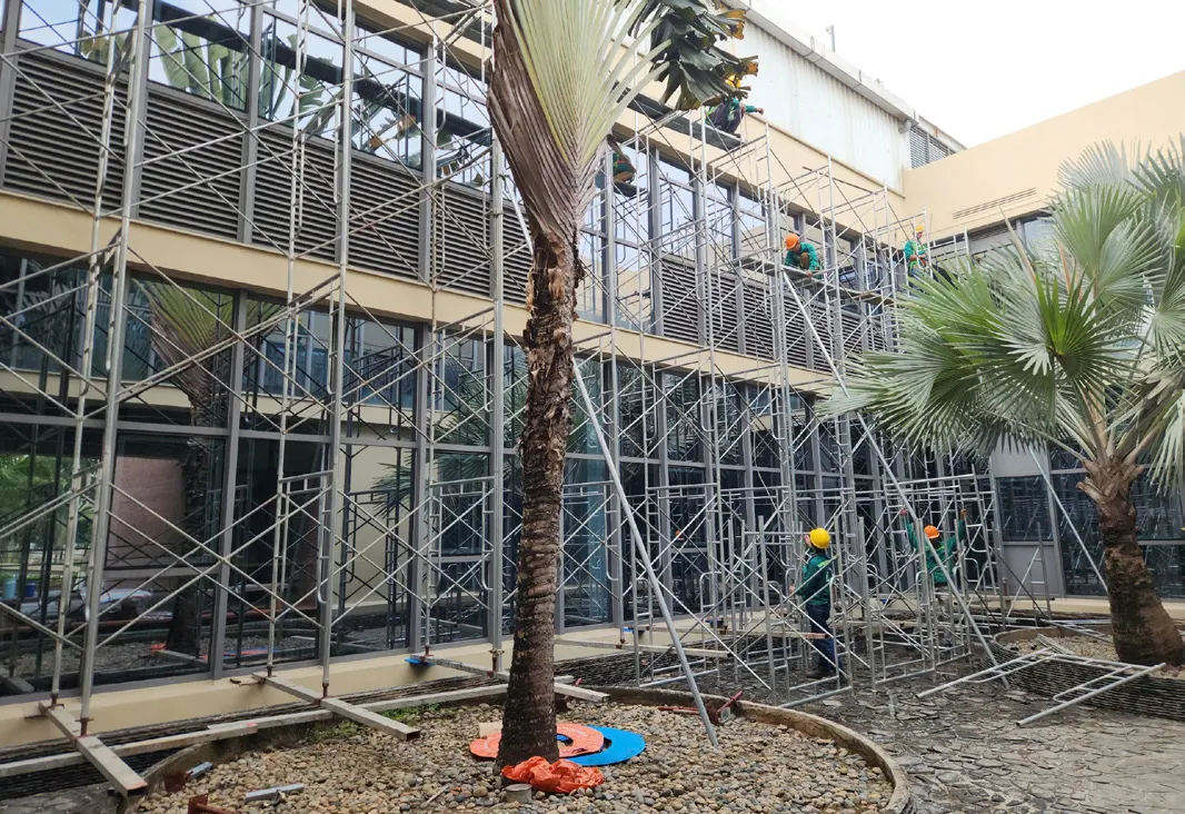 Sample room re-roofing — Ben Luc 7